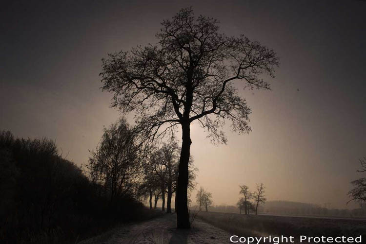 Winterlandschap: de Dijle MECHELEN foto 