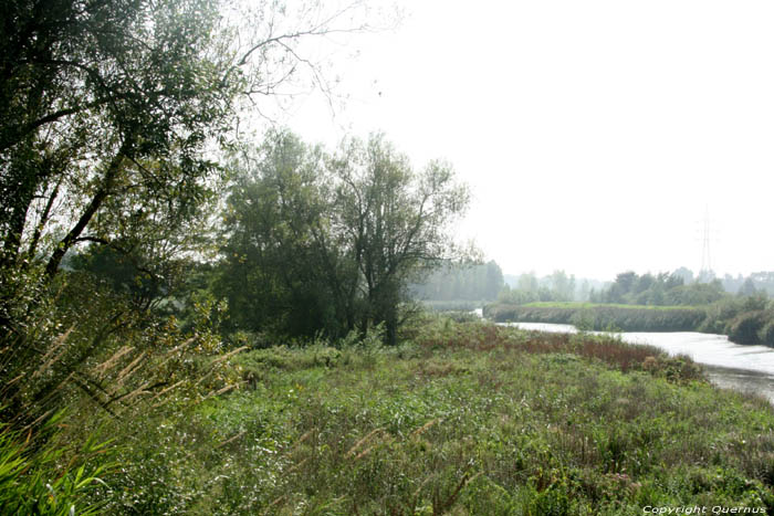 River Scheldt  MELLE picture 