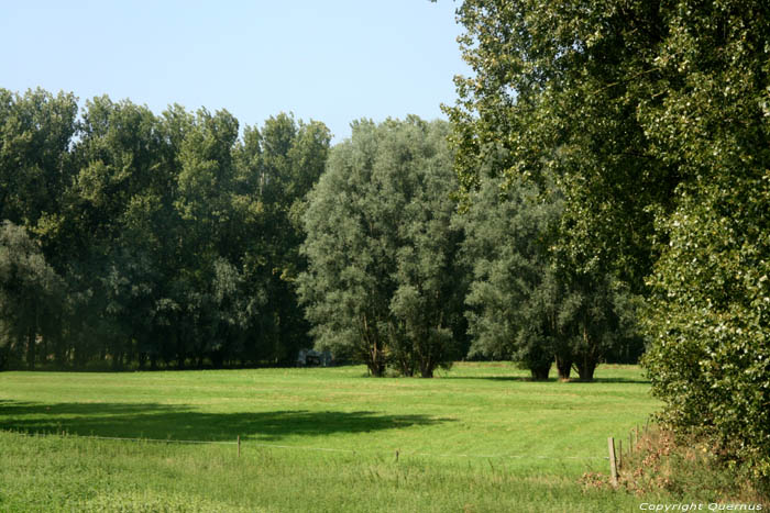 Landscape with Willows MELLE picture 
