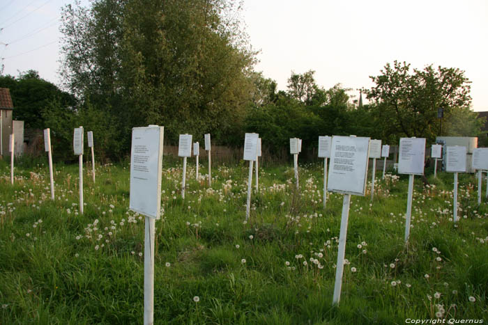Field full of Poems (in Doel) KIELDRECHT / BEVEREN picture 