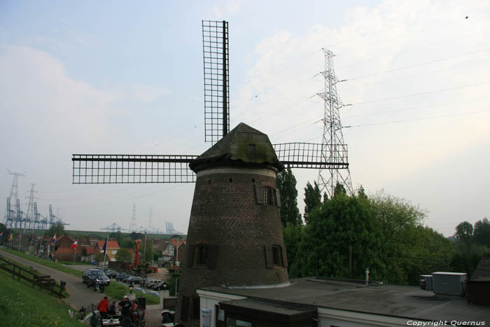 Scheldt dike Windmill Scheldt (in Doel) KIELDRECHT / BEVEREN picture 