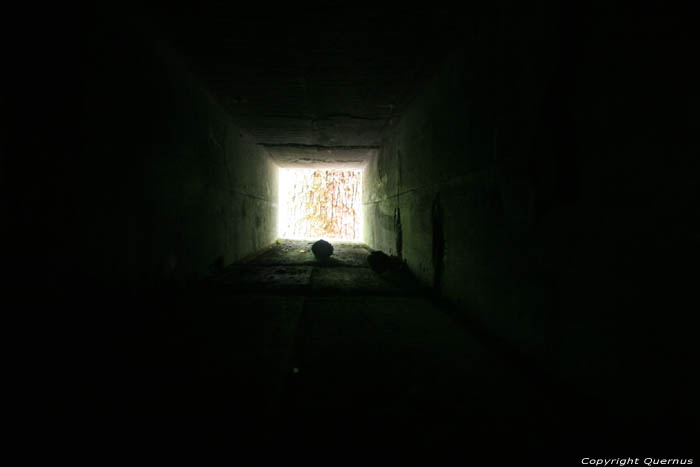 Grand Quartier Gnral allemand - Bunker de Adolf Hitler NAMUR / COUVIN photo 