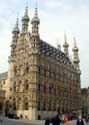 Townhall  LEUVEN picture: 