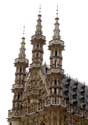 Townhall  LEUVEN picture: 