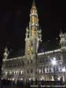 City hall BRUSSELS-CITY / BRUSSELS picture: 