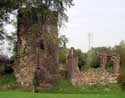 Kasteel en donjon van Walhain (te Walhain-Saint-Paul) WALHAIN foto: Toren en muurresten