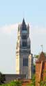 Sint-Salvatorskathedraal BRUGGE foto: De vroeggotische torenromp werd later voorzien van een neoromaanse spits.