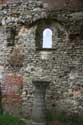 Ruines de l'Abbaye de Saint-Bavon GAND photo: 