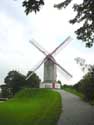 Mill of the cool wind (Bosterwoodmill) BRUGES picture: 
