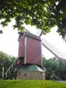 Le Perroquet Nouveau (Moulin du Haute Signal) BRUGES photo: 