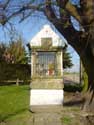 Chapel and lime-tree (in Issegem (Balegem)) OOSTERZELE picture: 