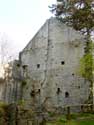 Ruins of Poilvache (in Evrehailles) YVOIR picture: 