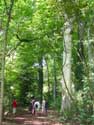 Lappersfort forest BRUGES picture: 