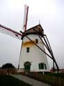 White Mill of Roxem OUDENBURG picture: 
