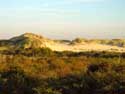 De Westhoek (natuurreservaat) - Romeinse Vlakte DE PANNE foto: 