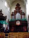 Sint Jan Baptist en Evangelist kerk MECHELEN foto: Orgelkast door Pieter Valckx. 