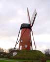 Oude windmolen RANST foto: 