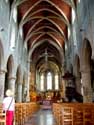 Sint-Hermeskerk en crypte RONSE foto: 