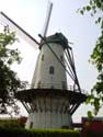 Hostens' Mill RUISELEDE picture: 