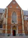 Sint-Quintinuskathedraal HASSELT foto: 