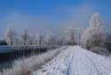 Snowy landscape of the Dyle river MECHELEN picture: 
