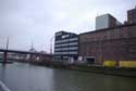 The New Mills GHENT picture: 