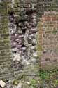 Wall of Graveyard EVERE picture: 
