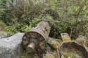 Remains of Watermill  (in Bouffioulx) CHATELET picture: 