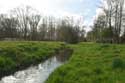 Swamp of Jette - Ganshoren and Molenbeek JETTE picture: 